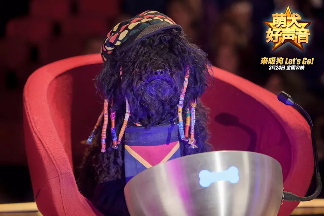 The voice of gourd dog (Who is the one who sings fox in The Voice of China)